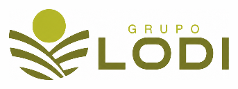 Grupo Lodi